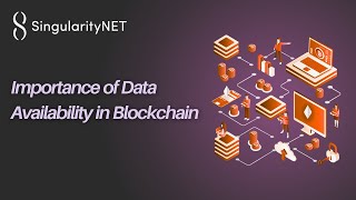 Importance of Data Availability in Blockchain 🌐⛓️ Wealth