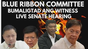 SENATE BLUE RIBBON COMMITTEE LIVE  FLOOD CONTROL GHOST PROJECT