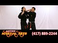 Kenpo techniques  twisting wedge