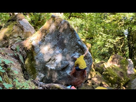 Beta Video for climb Lower Education v9, Carver