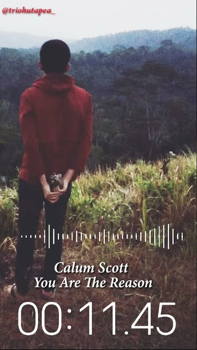 Story Wa 30 Detik || You Are The Reason By Calum Scott