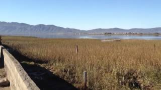 Estero Beach Fish Camp