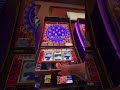 #casino  #slot #pinball #degener8dadsclub