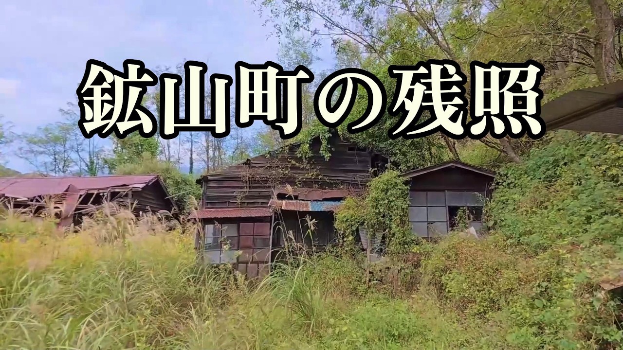 【中古】 栃木県足尾町の人たちに学ぶ住民主体の福祉の町づくりの手法 昭和に戻れる街を歩く】足尾町 [ダイジェスト] 栃木県日光市 昭和