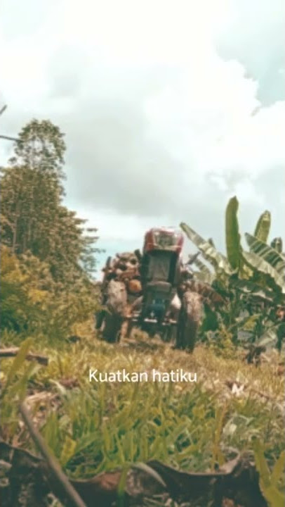 Story WA Anak Petani