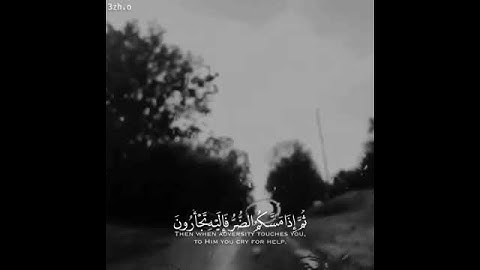 سورة النحل الاية {٥٣} بصوت عبد الرحمن مسعد