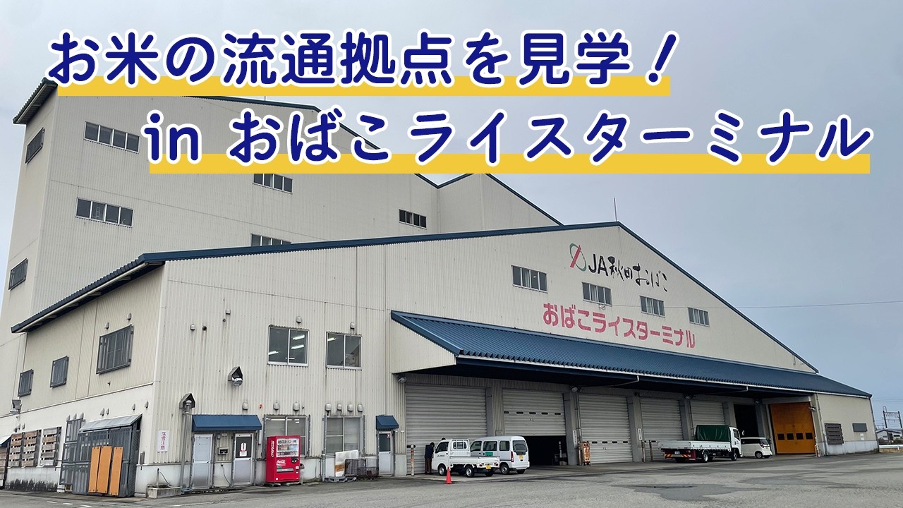 編集部がお米の品質管理の現場「おばこライスターミナル」を見学！in秋田