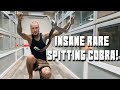 Private Tour Of TWO CRAZY VENOMOUS ROOMS !!