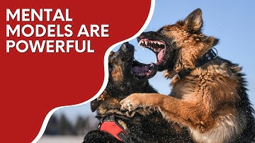 Mental models are powerful | Real World Examples