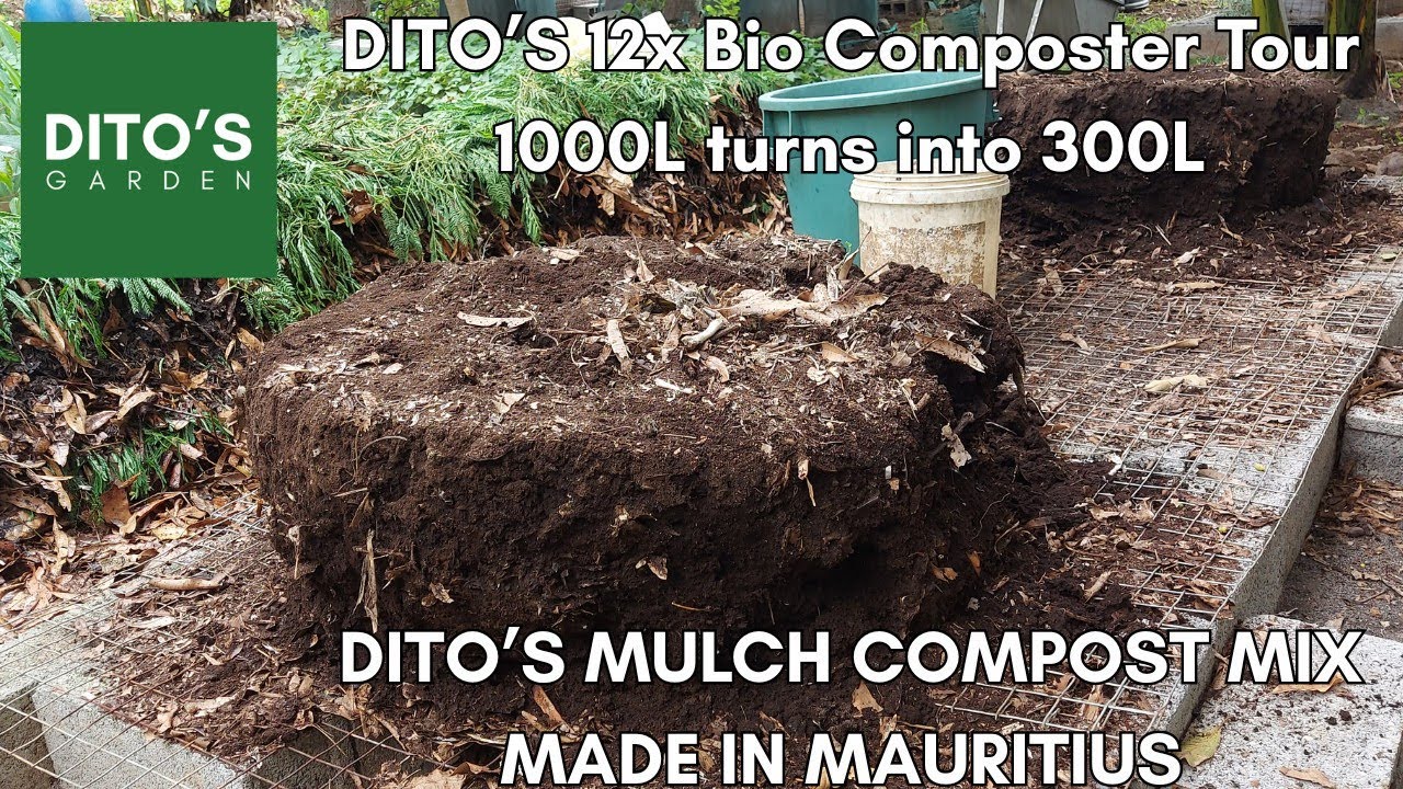 DITO’S GARDEN Final Setup Tour 3 Years To 12 Biocomposters Mauritius | Video 3