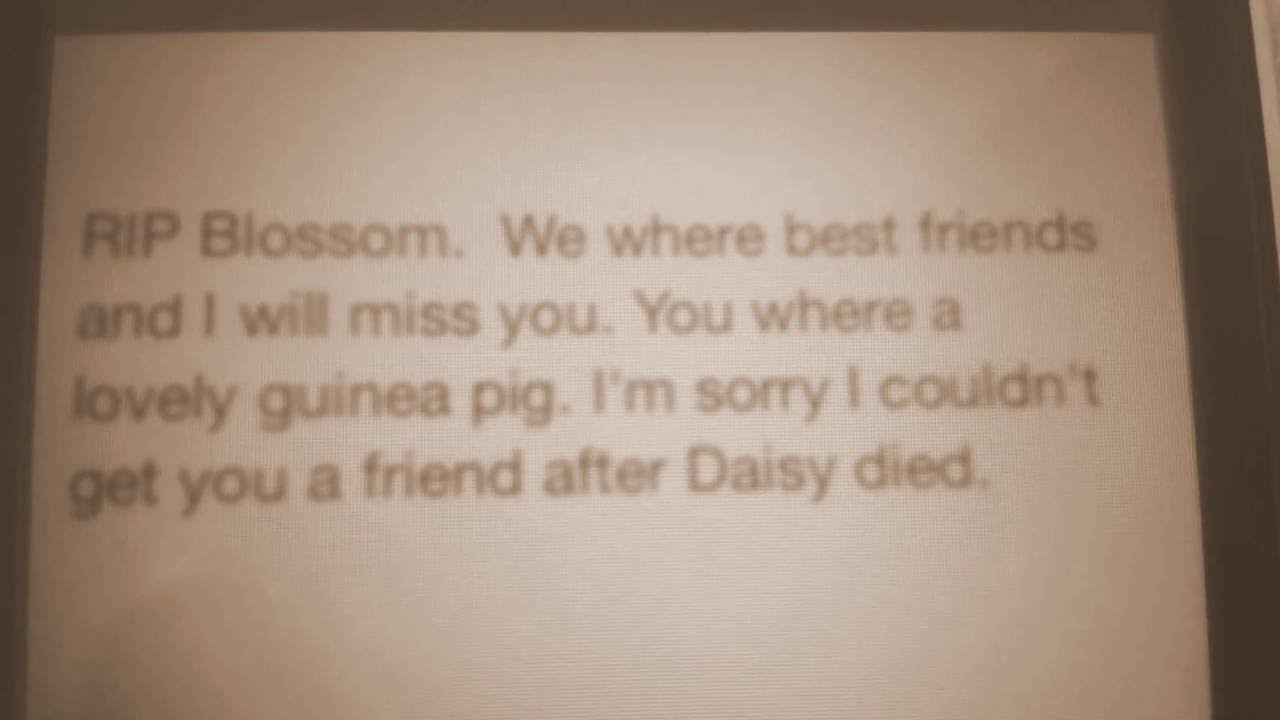 RIP Blossom - YouTube