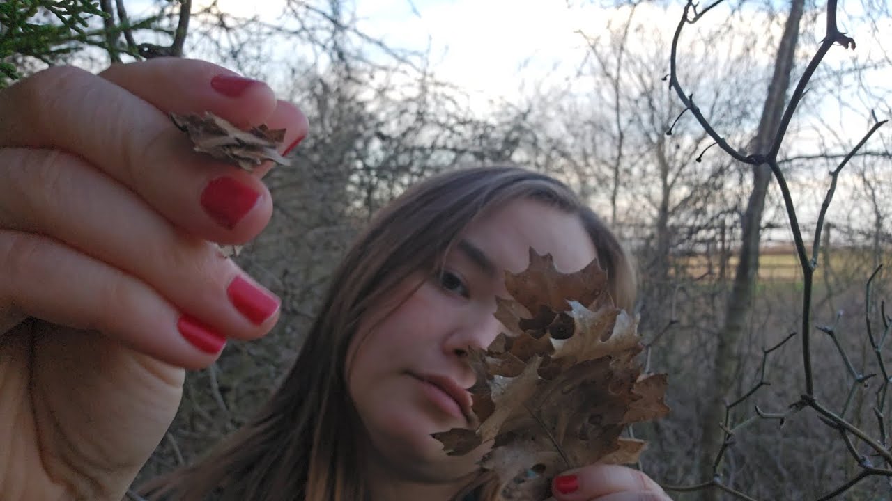 ASMR Crunching dry leaves to give you tingles | minimal talking
