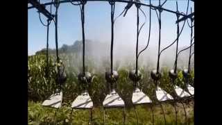 Yield Center 360