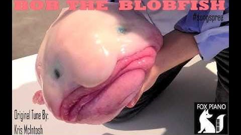 Bob The Blobfish - Kris McIntosh (Original)