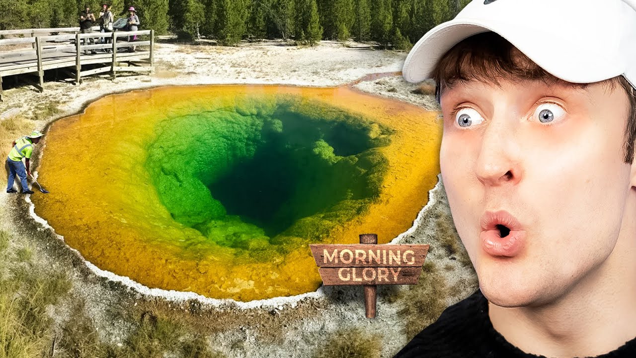 Cool Things You’ve Never Seen Before YouTube