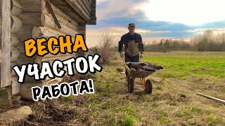 картинка: ДЕРЕВЕНСКИЕ БУДНИ! ОБЛАГОРАЖИВАЮ УЧАСТОК И САД!😄