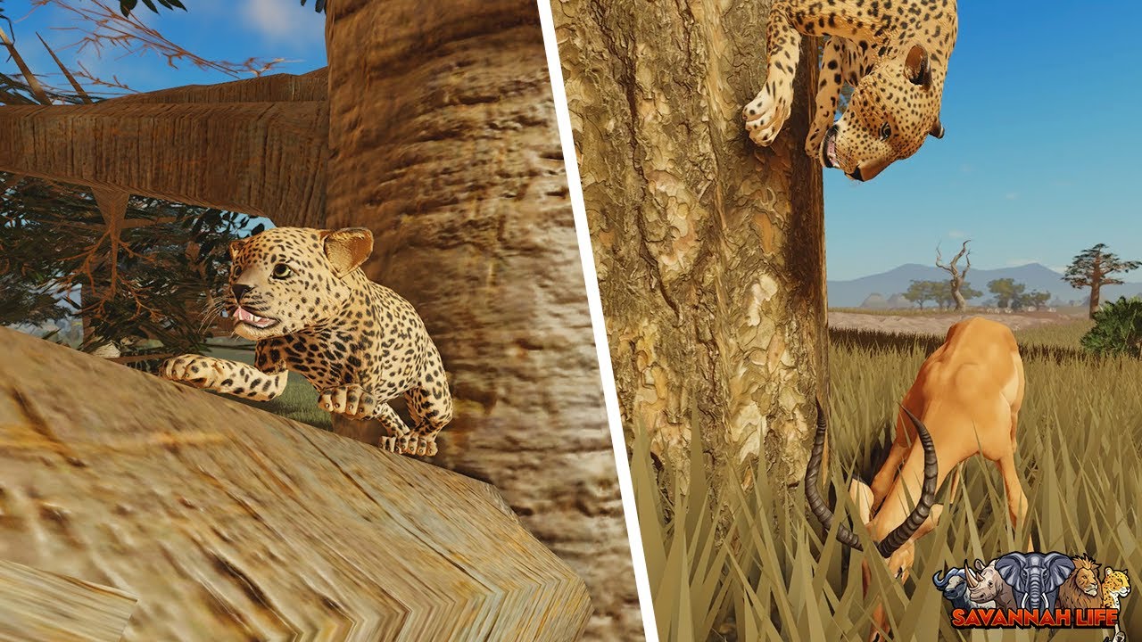 НОВОЕ обновление: Леопард! | Savannah Life в ROBLOX