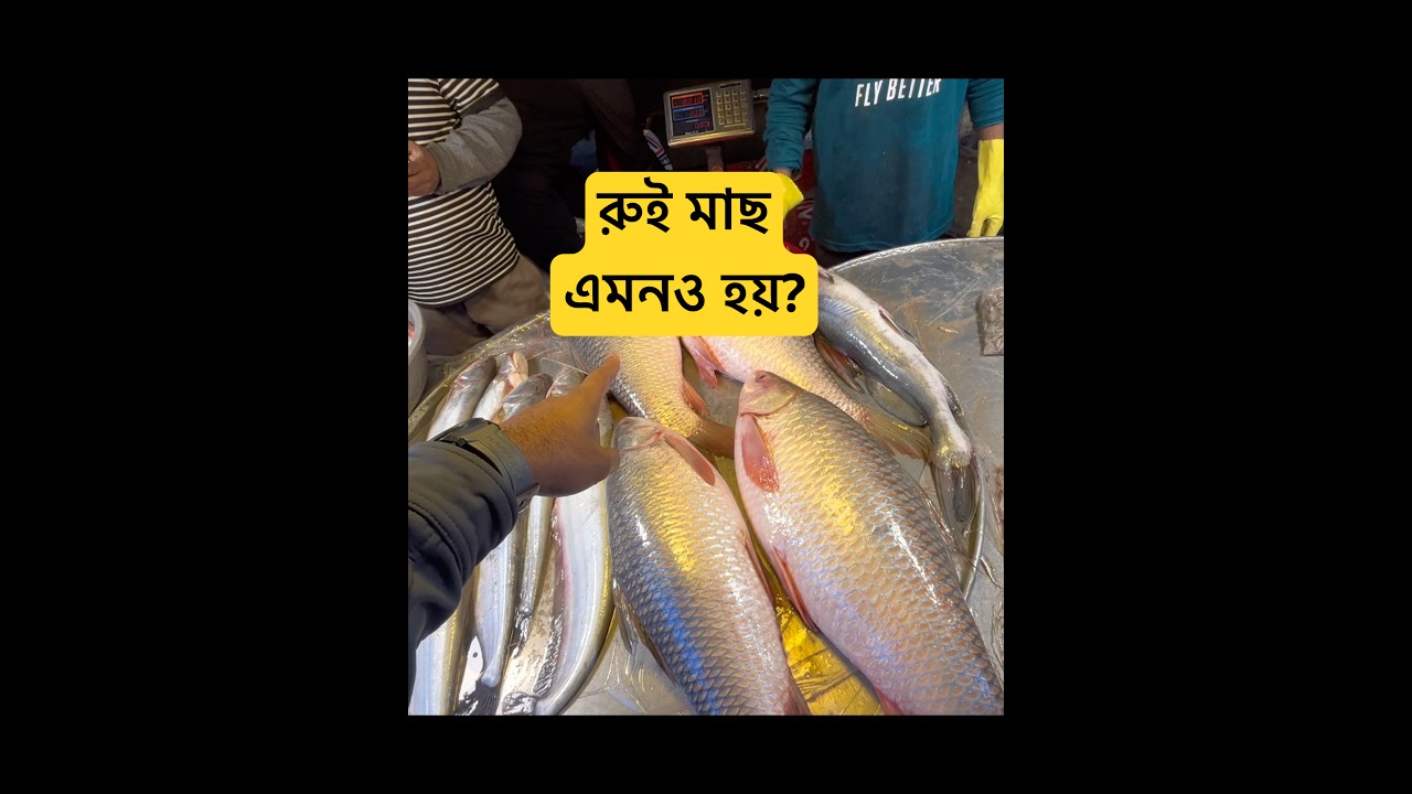 এ কেমন রুই মাছ?  🙄 