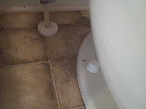 toilet leak around the wax ring and shower valve leak ...