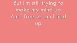 Miike Snow - Animal Lyrics