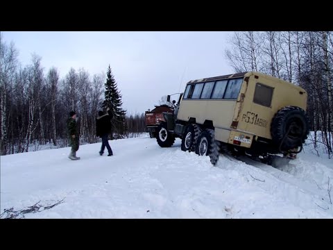 Video: Mga pambansang parke at reserba ng rehiyon ng Arkhangelsk, na sulit bisitahin