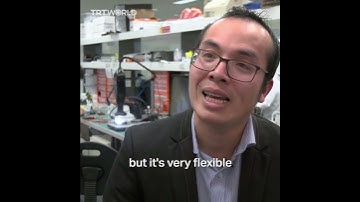 Engineers develop smart textile which acts like biological muscle