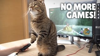 LuLu Won’t Let Me Play Games! | Kittisaurus screenshot 3