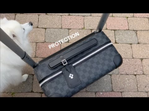 Protection-Protection_Protection/Travel Stuff /louis Vuitton/lvlovermj 