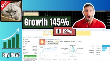 Hunting Cat Scalper MT4 EA – Pro USDJPY Breakout Robot