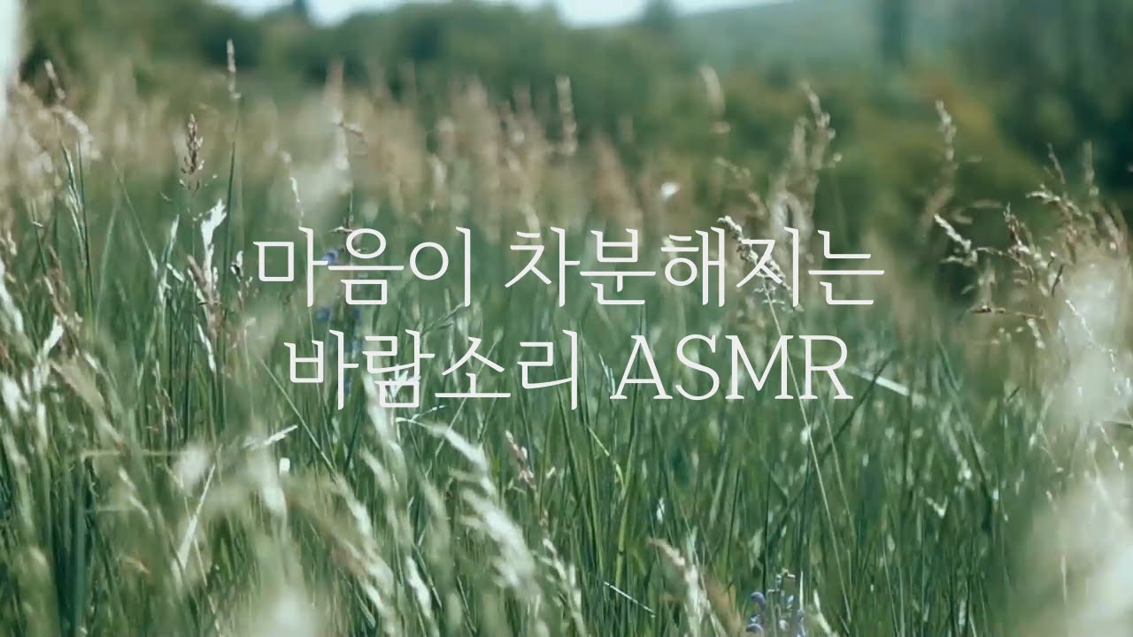 바람 소리 1시간🎵 자연 소리, 백색 소음, 나뭇잎 스치는 소리 ㅣ White Noise, The Sound Of The ...
