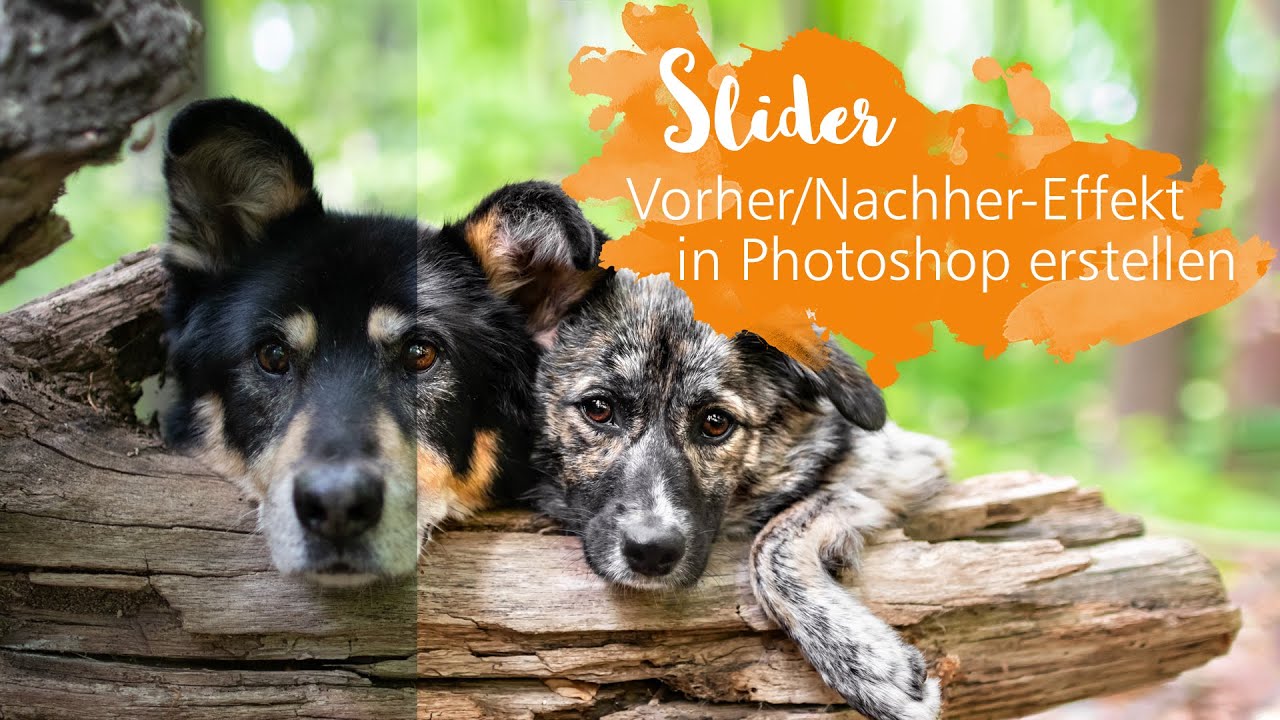 DIY 💡 Vorher Nachher Effekt Slider für Hundefotos easy mit