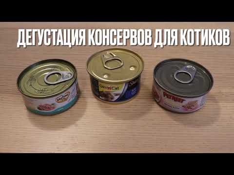 Дегустация консервов для котиков: Мнямс, GimCat, Petreet.