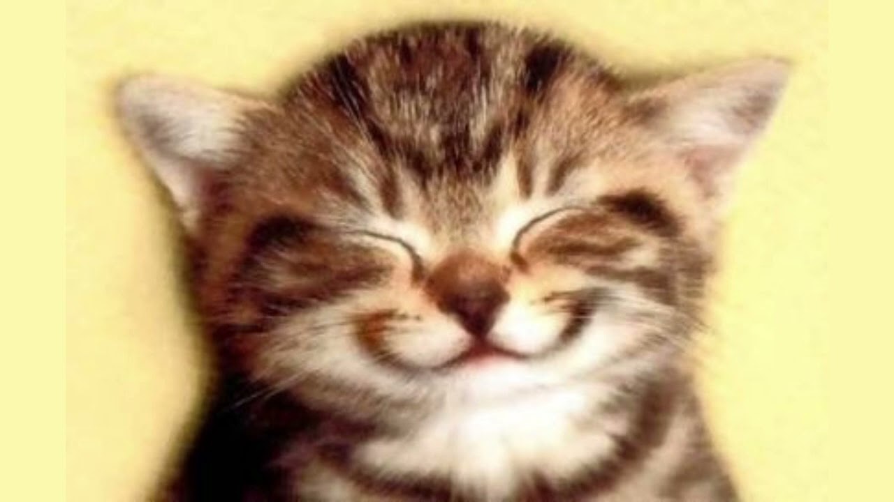 [FREE ] xaviersobased x jerk x bronclair type beat | "audacity"