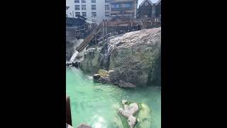 Kusatsu Hot Springs, World famous hot spring areas in Japan. 2024 by Marc Cuniberti 15 views 2 weeks ago 3 minutes, 14 seconds