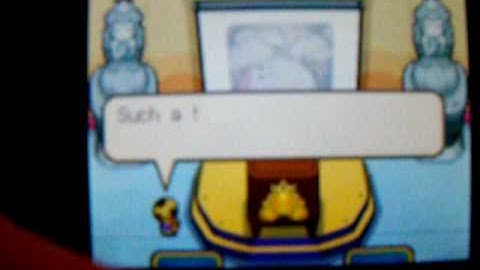 Mario & Luigi: Bowser