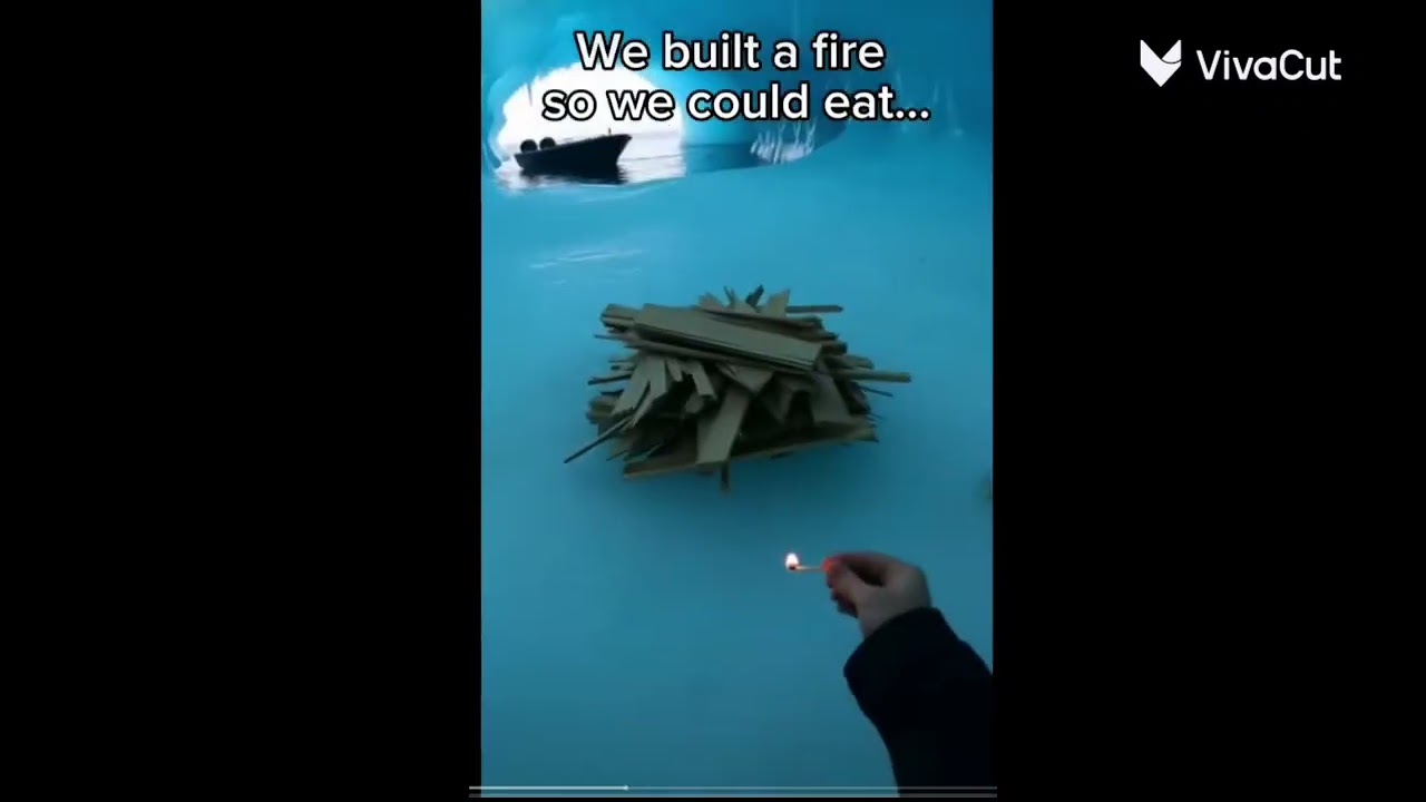 I saved a baby seal  from a big sea lion