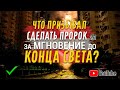 Что призывал сделать Пророк ﷺ за мгновение до Конца света?