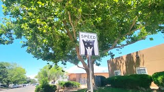 Beautiful Day in the Neighborhood | Exploring Jefferson Blvd | Day in My Life