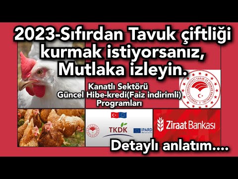 Video: Tavukların Yetiştirilmesi (Kendi Bedelini Ödeyen Evcil Hayvan)