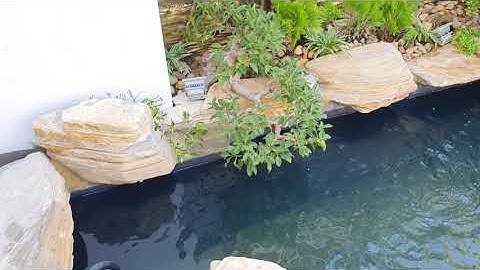 Thi công sân vườn, Hồ cá Koi đẹp nhà Chị Trang- Khu biệt thự Eurovilla Đà Nẵng.