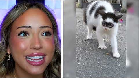 Try Not To Say WOW Challenge (HARD)