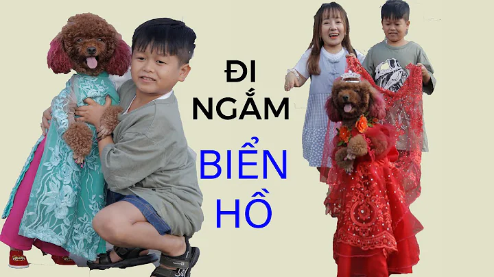 Cô chó Su Xí Xọn dùng 2 chân dẫn Huy Tí Hon, Út Mini đi xem Biển Hồ Pleiku II ĐỘC LẠ BÌNH DƯƠNG