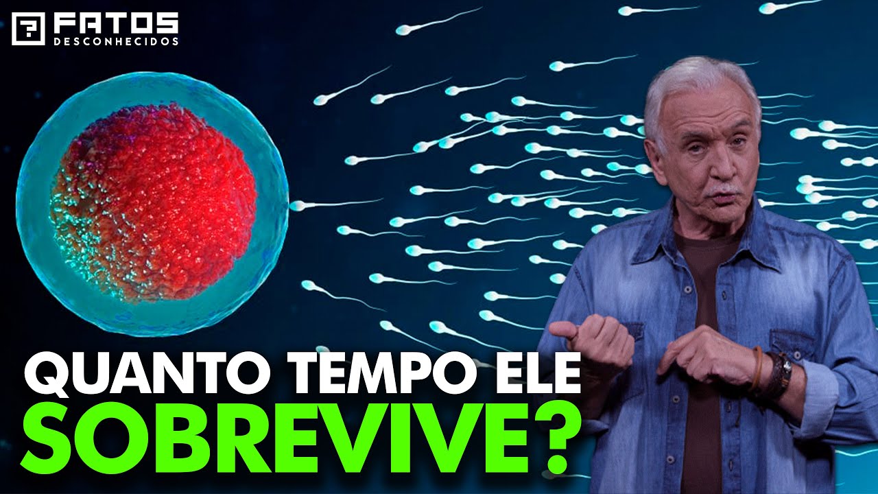 Quanto tempo um espermatozoide vive no corpo da mulher?