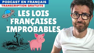 Les Lois Françaises Improbables - Compréhension Orale En Français Natif Avec Sous-Titres
