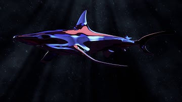 CGBlendTutorials - Blender Shark Animation - Personal Work - Heron-Mazy