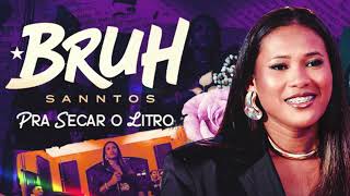 Bruh Sanntos - Cd Musicas Novas 2025 Atualizadas Repertorio Novo Pra Secar O Litro
