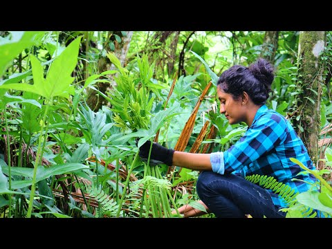 Poorna - The nature girl - Gifts of nature for being beautiful & healthy |part 1| poorna - The nature girl |