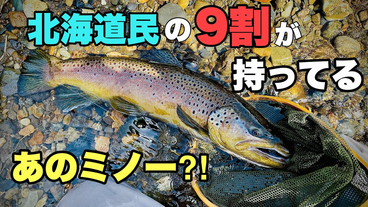 良型にはこのルアー おすすめトラウトルアーとアクション 良型狙いの川釣りルアーフィッシングミノー イング Youtube