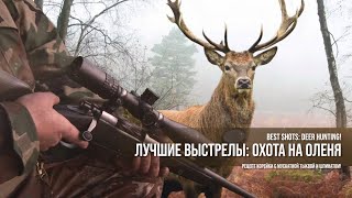 Лучшие выстрелы: охота на оленя и рецепт корейки с овощами! Best shots: deer hunting!