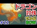 ゼルダの伝説ブレスオブザワイルドその22 フロドラ、ネルドラ、オルドラ討伐方法!!!